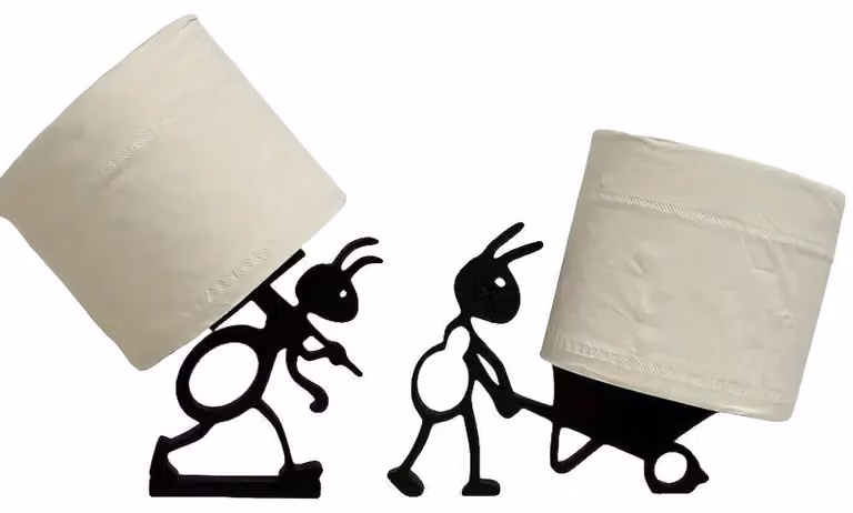 Ganci a forma di animali, design carino, decorazione minimalista per il bagno, disponibili in due stili