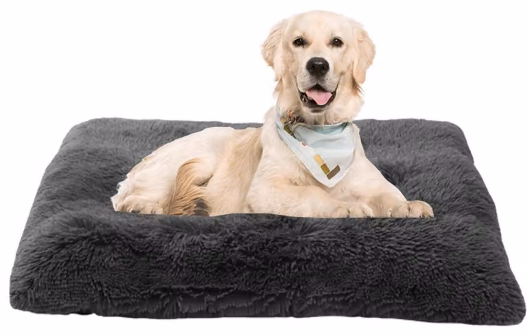 Materassino per cani, cuccia per gatti, divano per cani, cuscino per cani, cesta per cani, tappetino per cani, lavabile, grigio scuro, 70x50x8 cm