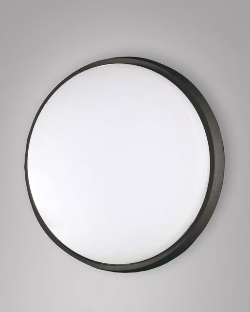 Olly Fabas Plafoniera LED Moderna Rotonda in Alluminio e Policarbonato Nero 30W 3220lm 3000K IP54 3315-65-101