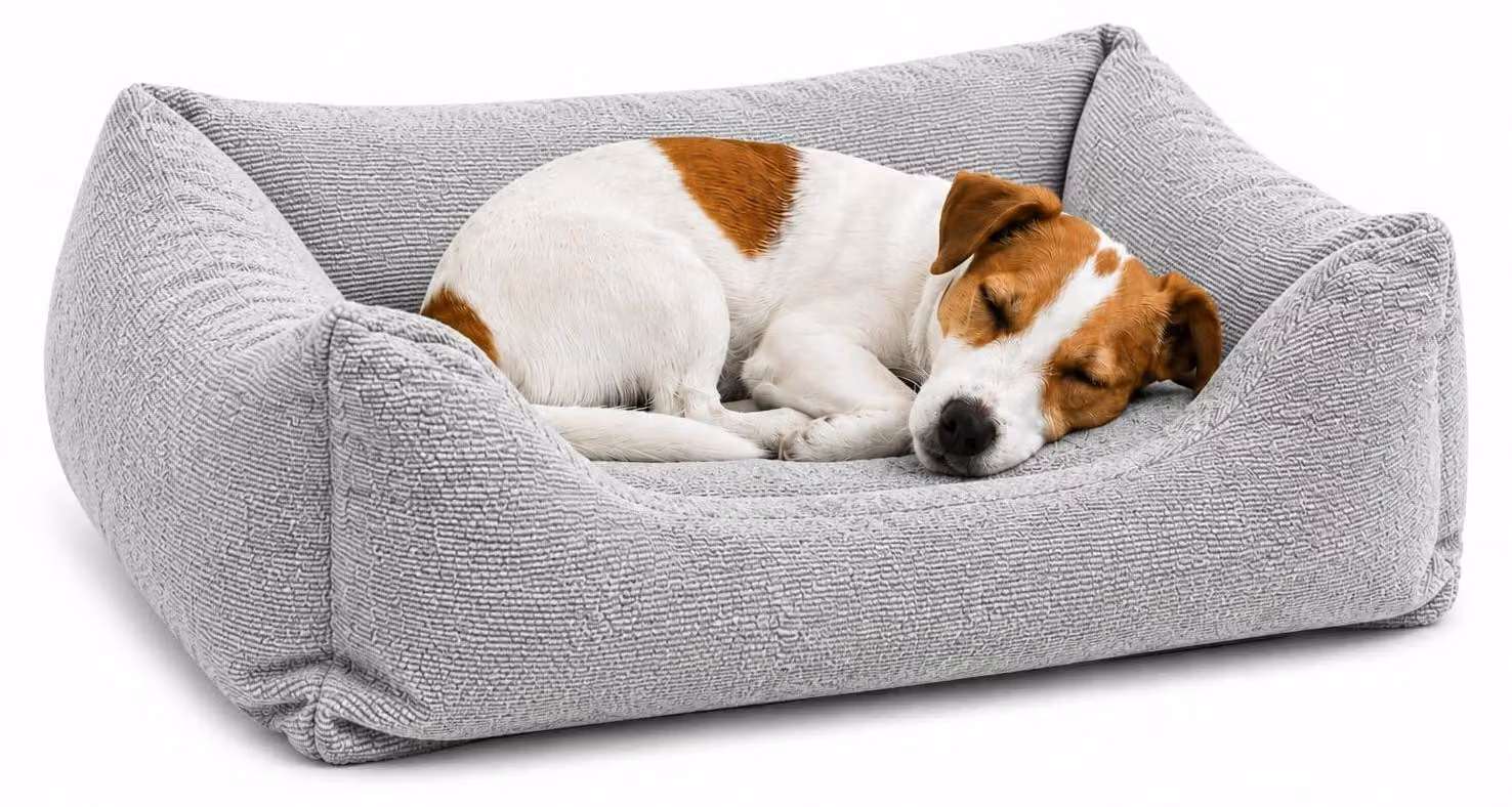 Cuccia per cani - Cuccia per gatti, ortopedica - Modello Baleno, rettangolare, grigia - 65 x 50 x 20 cm - Taglia M