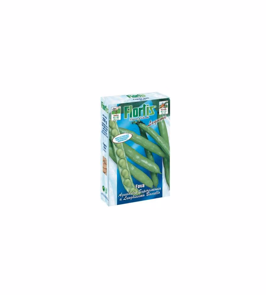 Fava Aguadulce Super