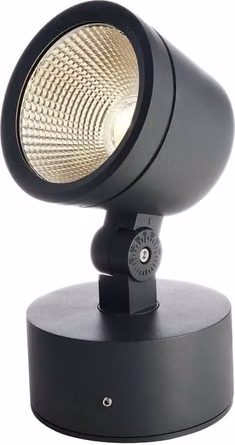 COLT faro LED 15W faretto IP65 dimmerabile orientabile luce SPOT illuminazione facciate alberi giardino insegne 230V