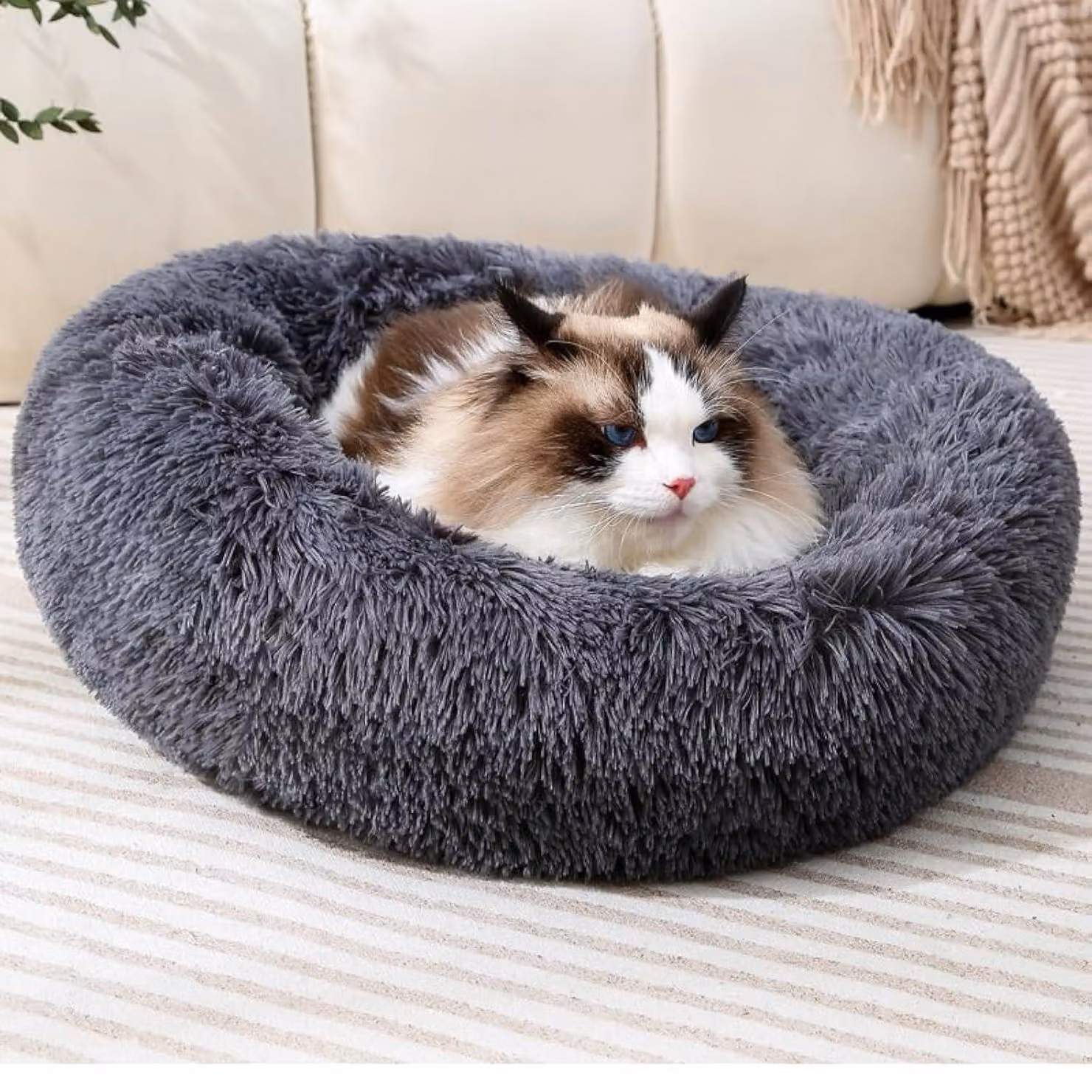 Cuccia a forma di ciambella in peluche, adatta a cani e gatti, piccola, dimensioni 43x43x12 cm, per animali fino a 5 kg