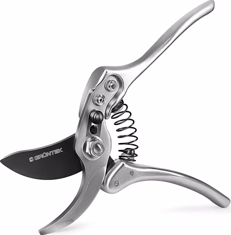 Forbici per potatura, design interamente in metallo forgiato, potatore per piante e alberi, set con 2 molle, forbici professionali robuste per potatura bypass, forbici per potatura laterale