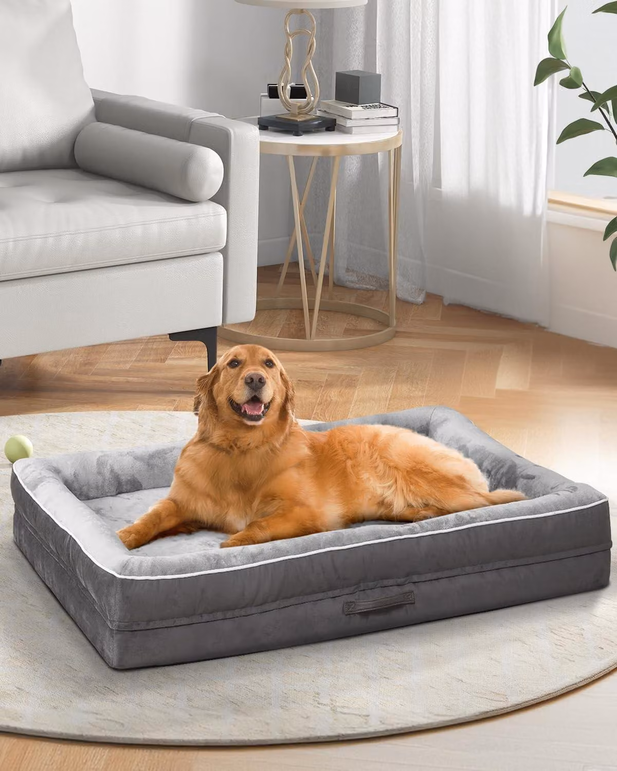 Letto ortopedico per cani, taglia XXL, con coprisedia lavabile