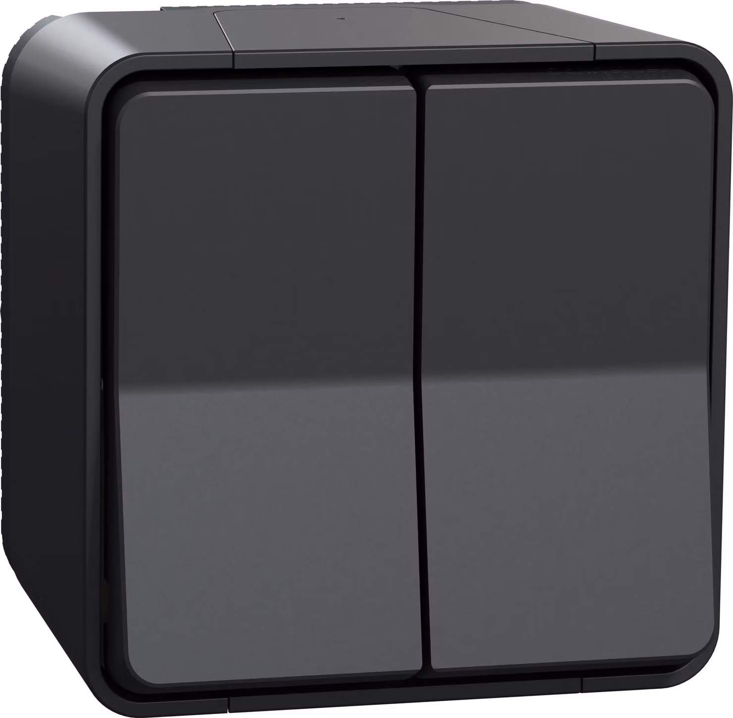 Mureva Styl - Doppio interruttore on/off - montaggio a superficie - IP55 - IK08 - connessione automatica - grigio - SCHNEIDER ELECTRIC - MUR35022