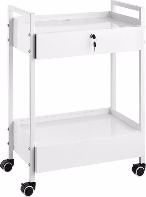 Carrello da laboratorio K-SH004 a 2 ripiani e 2 cassetti in acciaio carrello multiuso con 4 ruote girevoli portata 100 kg 615x380x850 mm