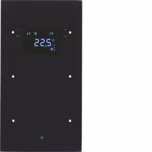 Berker 75642035 Sensore in vetro doppio con regolatore di temperatura, vetro, nero Berker TS Sensor