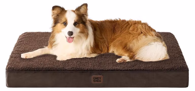 Cuccia ortopedica per cani, taglia XL, 104x68 cm, lavabile, color marrone