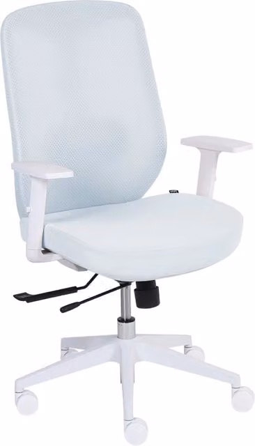 Sedia da ufficio ergonomica BELIANI in tessuto azzurro e bianco con supporto lombare, braccioli regolabili, sedile scorrevole e altezza regolabile, L: 64 cm, P: 60 cm, H: 109 cm