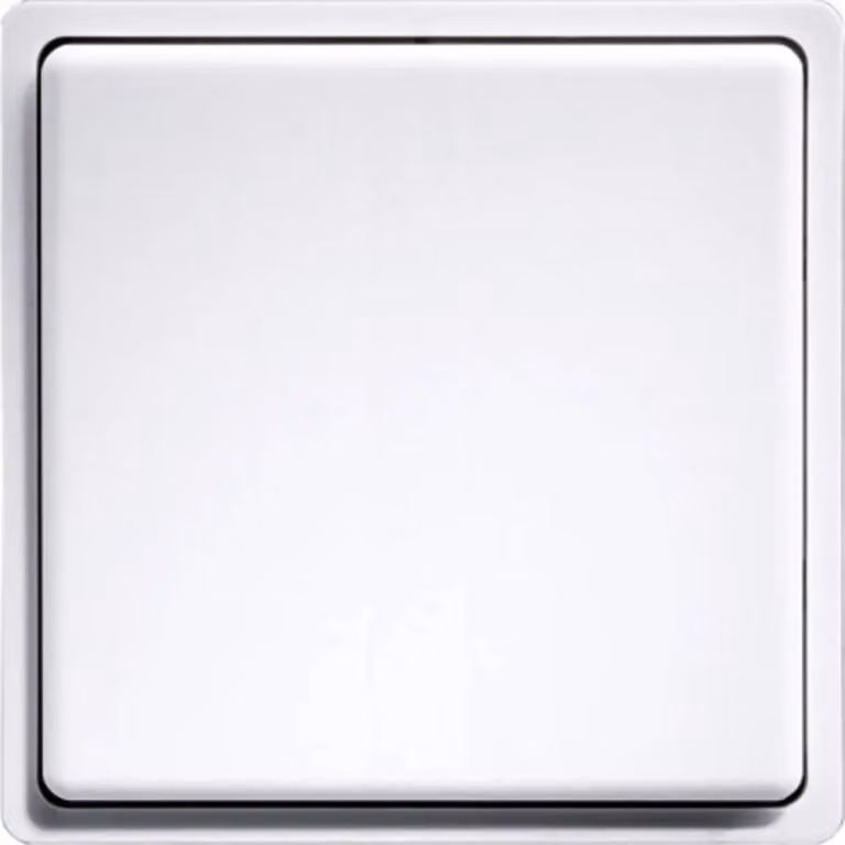 Funk-Minitaster reinweiß FMT55/2-rw (30000192)