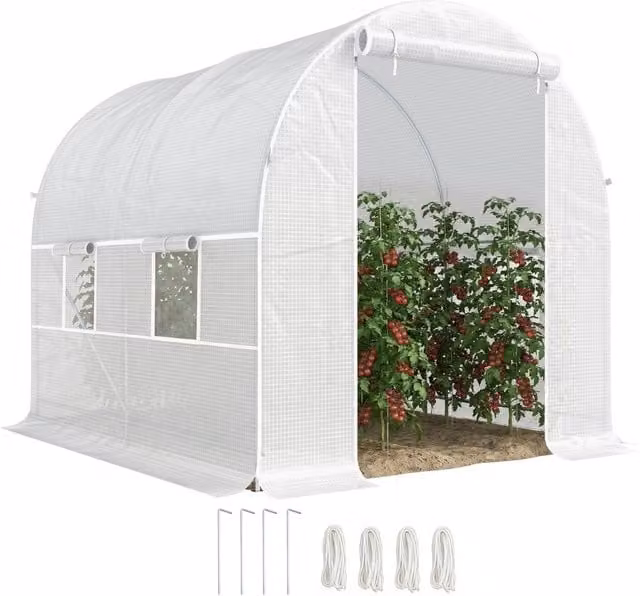 Serra Tunnel da Giardino Xylo con Porta e 4 Finestre, Bianco, L/P/H: 245 x 200 x 200 cm