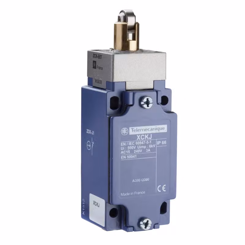 Interruttore di posizione APC GS. XCKJ161H29 D IP66 1S 1OE Pistoncino a cupola in metallo