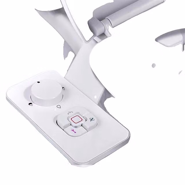 Bidet per WC, design ultrasottile, doppio ugello, 7-8 Nord America