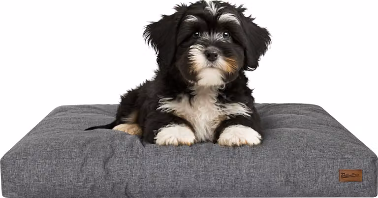 Materasso per cani "Grand Light" - 75x50cm - Cuccia idrorepellente - Rettangolare - Outdoor & Indoor | PillowPrim