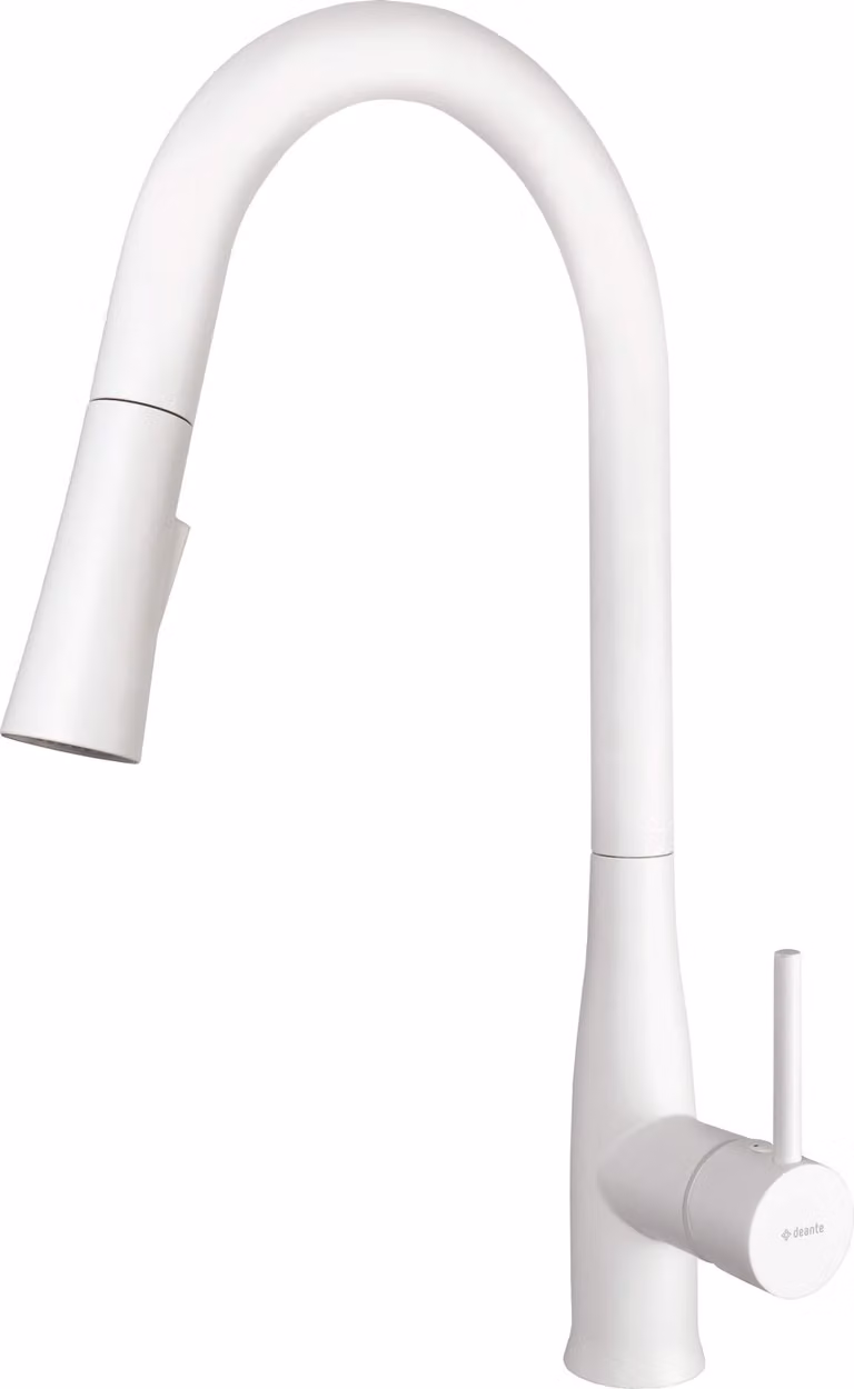Kitchen faucet with pull-out spout