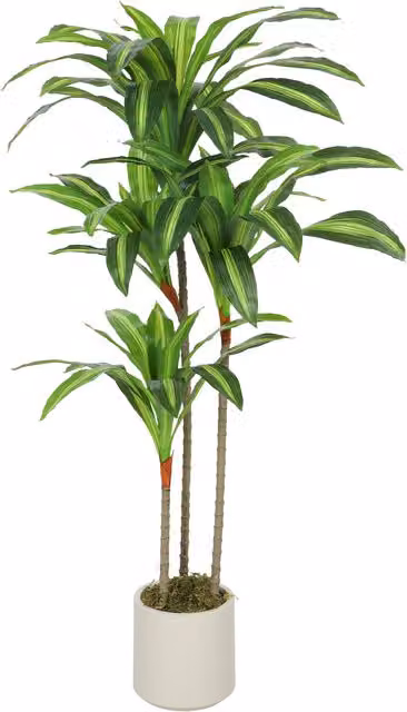 Pianta artificiale Dracena verde HOMCOM in PEVA e legno con vaso in PP e cemento, H 120 x L 40 x P 40 cm – 1
