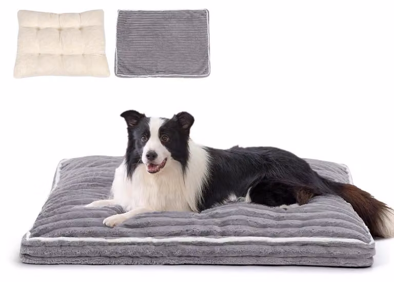 Cuccia per cani, 90x60x13 cm, grigia, con rivestimento removibile e lavabile, progettata per ridurre la pressione