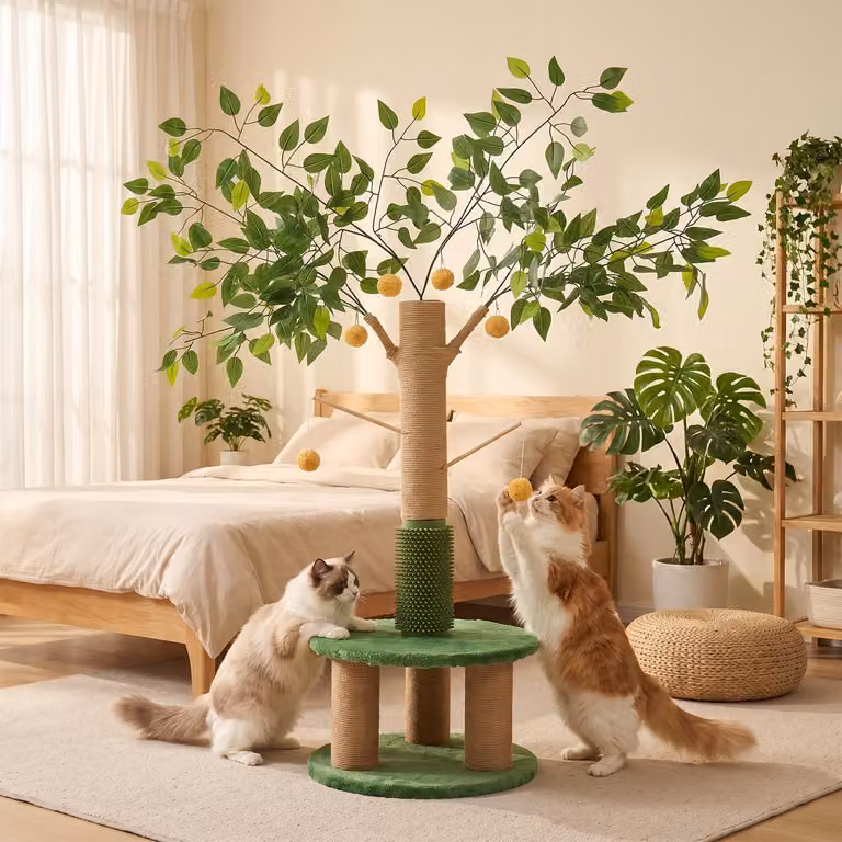 Albero per gatti con tiragraffi, palline sospese interattive, ideale per gatti, giocattolo da interno