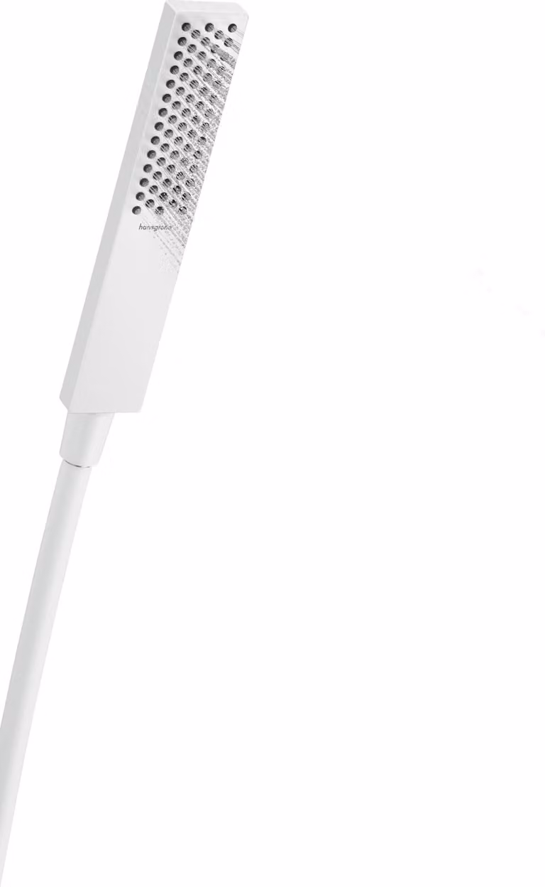hansgrohe Pulsify E Douchette à main 100, 1 type de jet EcoSmart, 24320700, 24320700