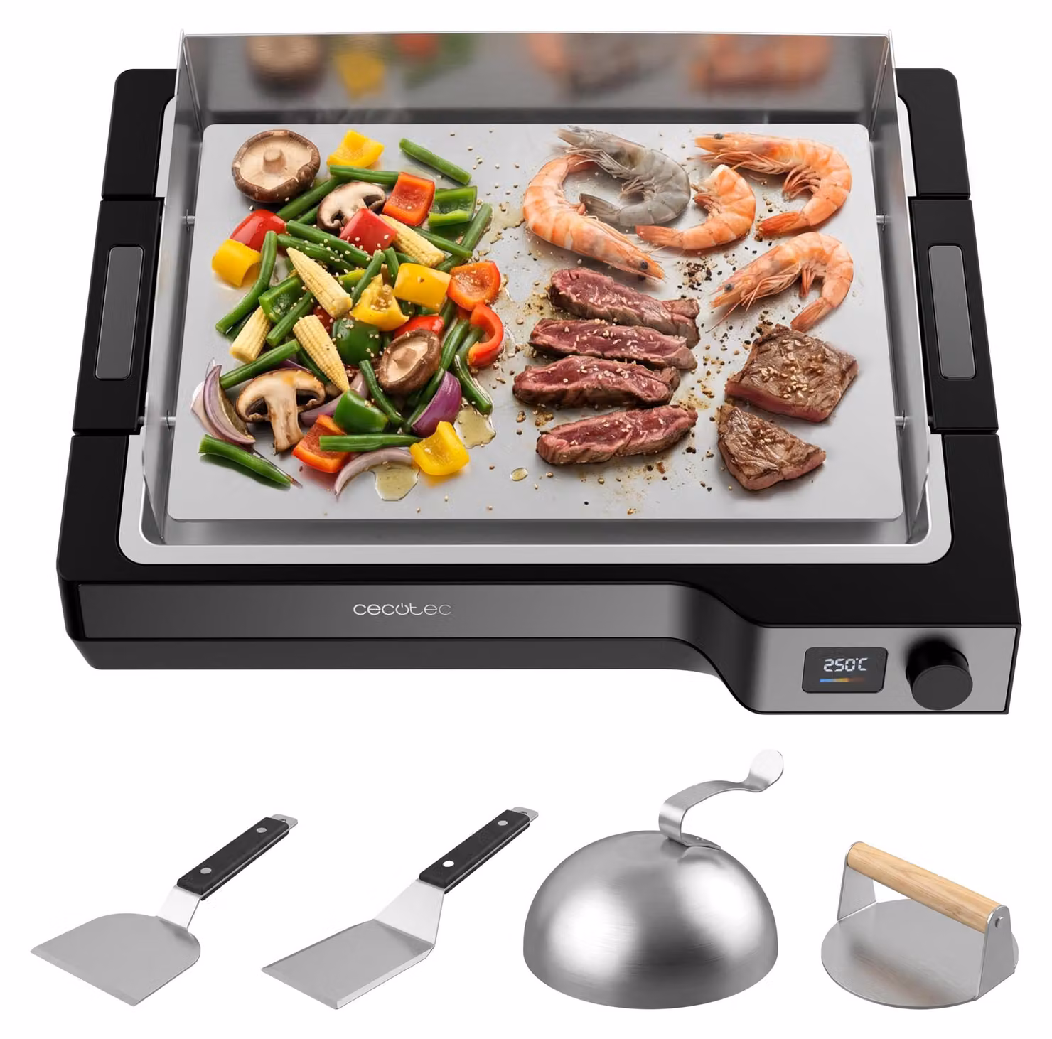 Piastra grill teppanyaki in acciaio inossidabile, da 100 a 250 °C, rimovibile