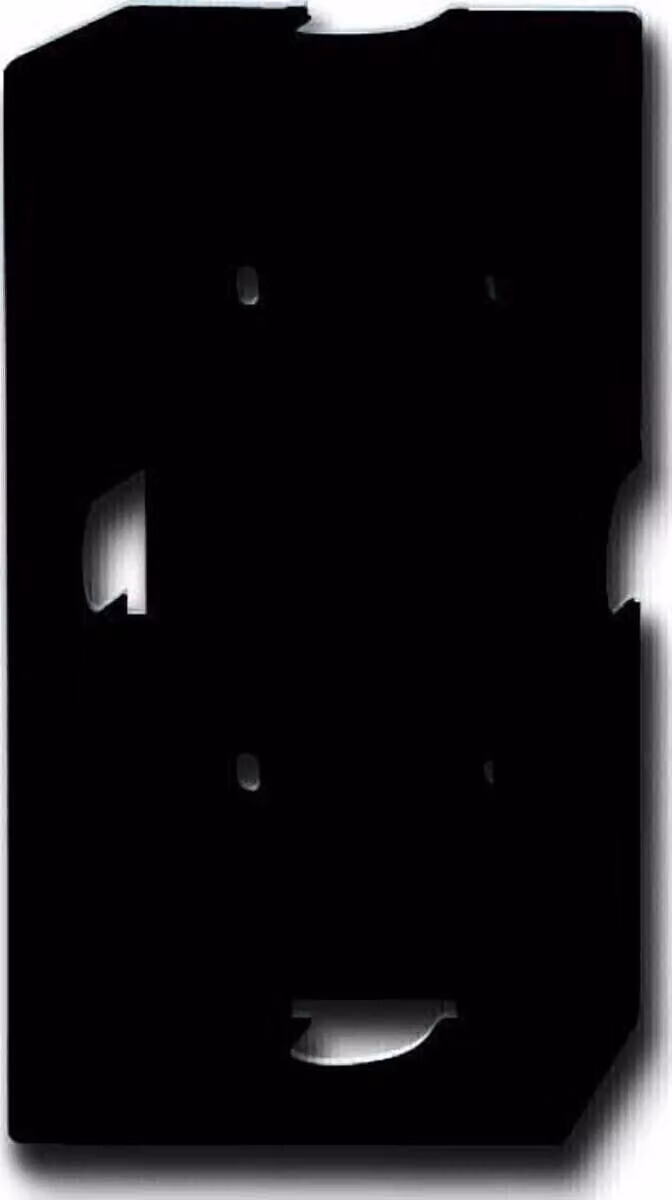 Busch Jaeger 1702-81 Wandplatte/Schalterabdeckung Schwarz (1702-81)