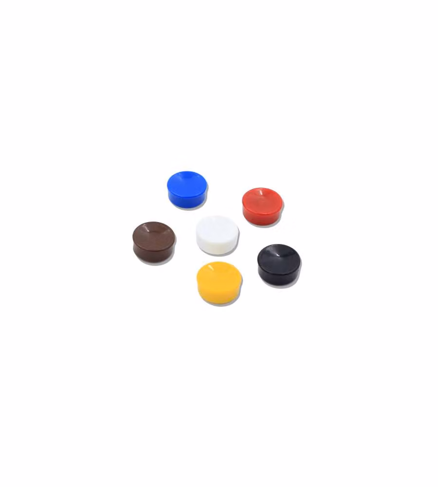 Magnete Per Lavagna Colorati Mm.25