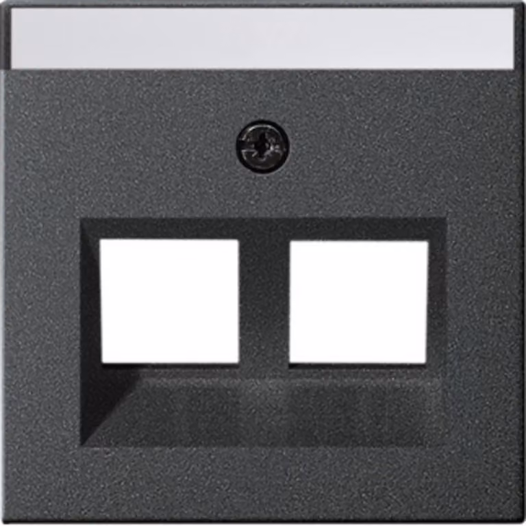 Gira cover Jack modulare 30Grd 2-gang anth 264028