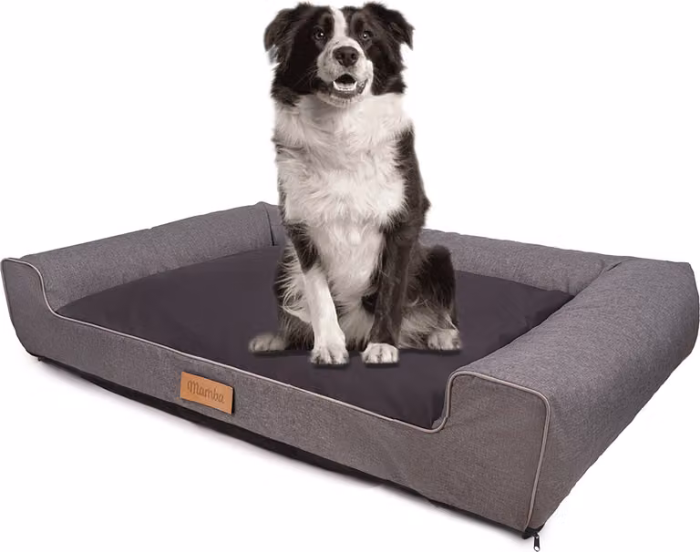 Letto grande per cani divano per cani cuscino per cani cesto lavabile - colore grigio - tappetino per cani taglia XL - 100x65 cm