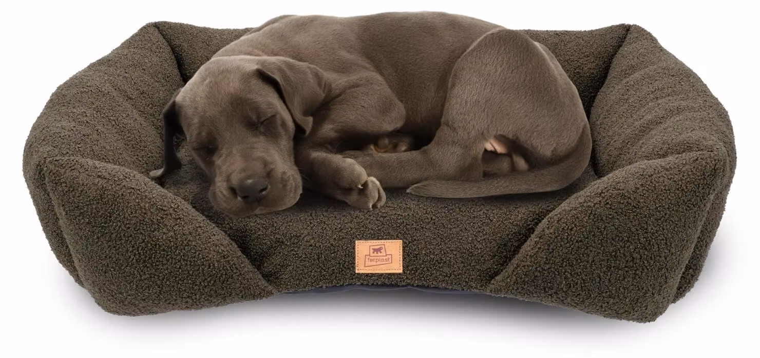 Solidchoice - Cuscino per letti per cani e gatti di taglia media, in tessuto bouclé lavabile, 78 x 56 x 22 cm di altezza, colore verde