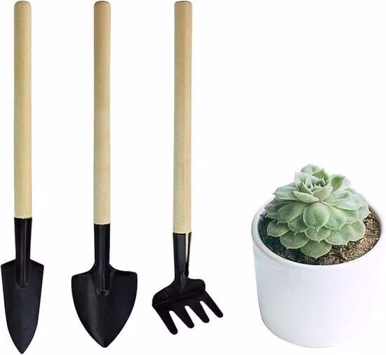 Set portatile di mini attrezzi da giardino – mini seghetto da giardino, set di attrezzi per bonsai, paletta per erbe aromatiche e terrari
