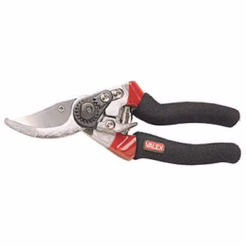 Valex Forbici da Potatura 210 mm Doppio Rivestimento Acciaio Verde