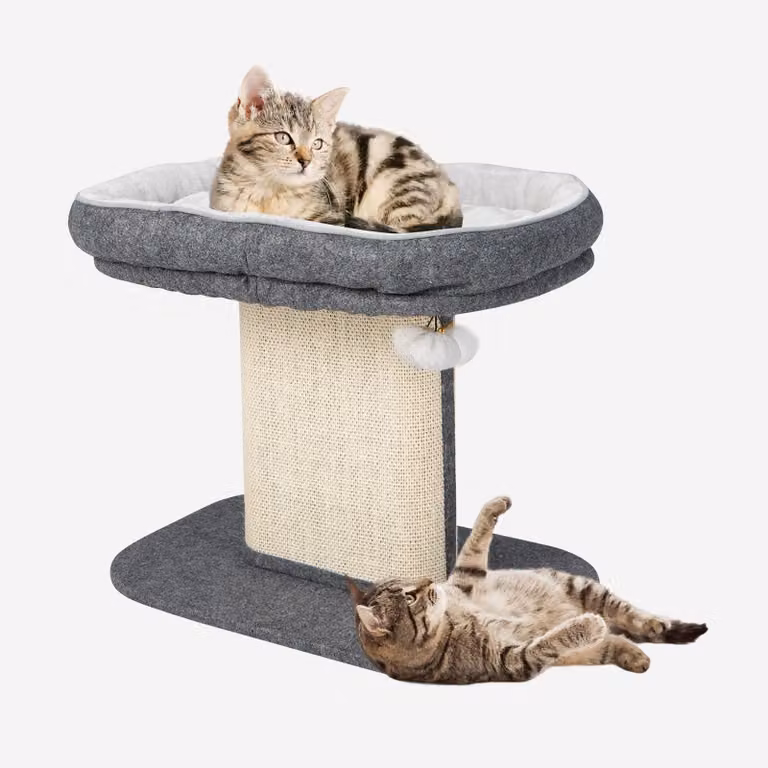 FANTASK, tiragraffi per gatti, altezza 50 cm, piccolo tiragraffi con superficie morbida in peluche