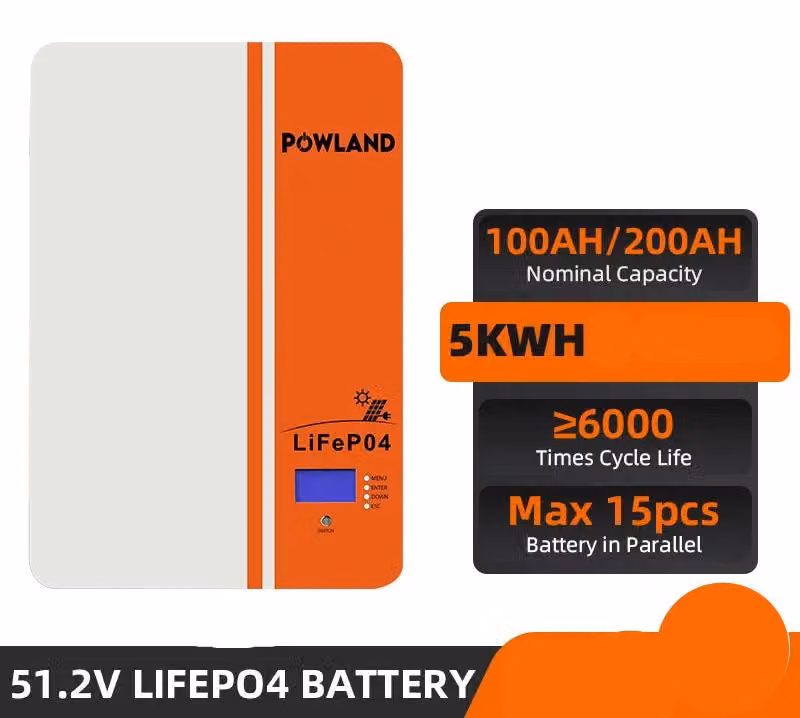 Batteria LiFePO4 da 51,2V e 100Ah, con capacità di accumulo energetico di 5 kWh e display LCD esterno