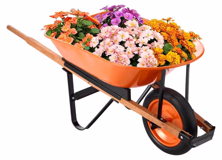 Carriola da giardino - Capacità di 5 piedi cubi - Portata di 120 kg - Ruote in ferro e PU