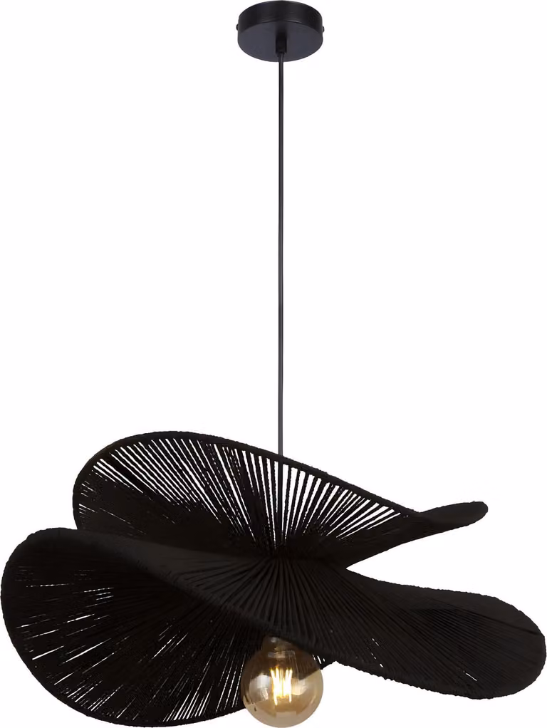 Lámpara De Techo TOOLIGHT APP1833-1CP Black0