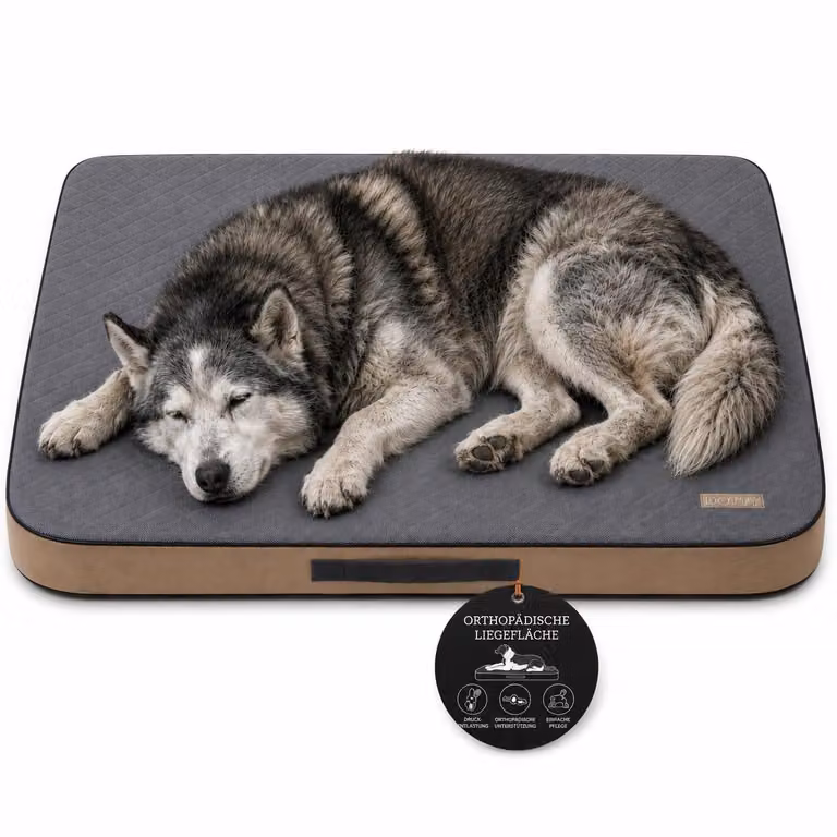 Materasso ortopedico per cani, cuccia che allevia le articolazioni L 100 × 75 cm, grigio