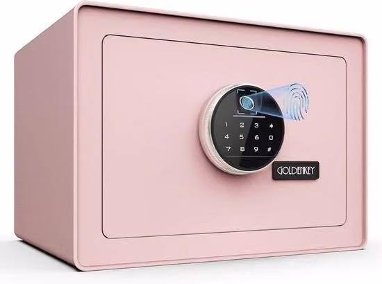 Safefile Cassaforte Digitale con Lettore di Impronte Digitali per Denaro e Oggetti di Valore, Rosa