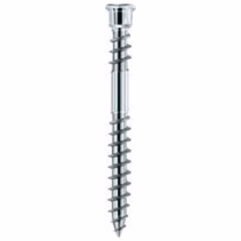 Vite Terrassotec DIN10088 5,5x 70 mm T25