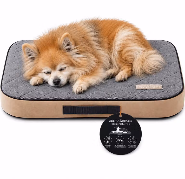DOTTY Materasso ortopedico per cani S 60 × 45 cm, cuccia lavabile in schiuma memory VISCO Standard 100