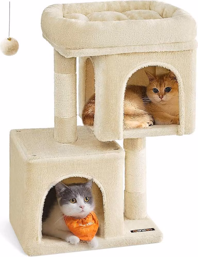 Tiragraffi Rootz - Albero per gatti - Struttura per arrampicata per gatti - Struttura in truciolato - Rivestimento in peluche - Corda di sisal - 40 cm x 30 cm x 67 cm