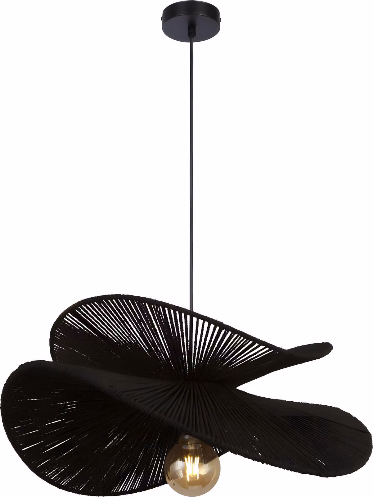 Lámpara De Techo TOOLIGHT APP1833-1CP Black0