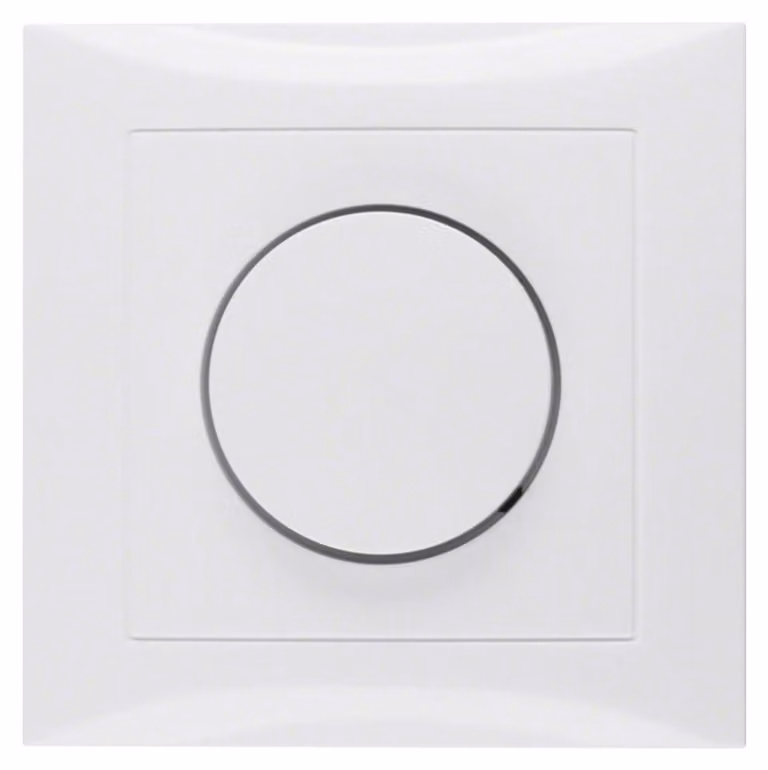 Piastra di copertura Berker pws/gl 11308989