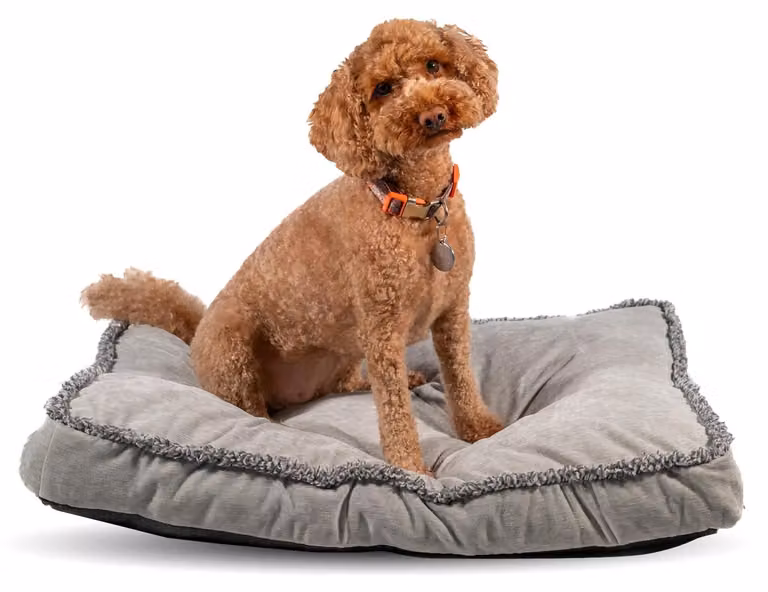 Omgoods - Cuccia per cani - Grigia (91 x 69 x 8 cm)