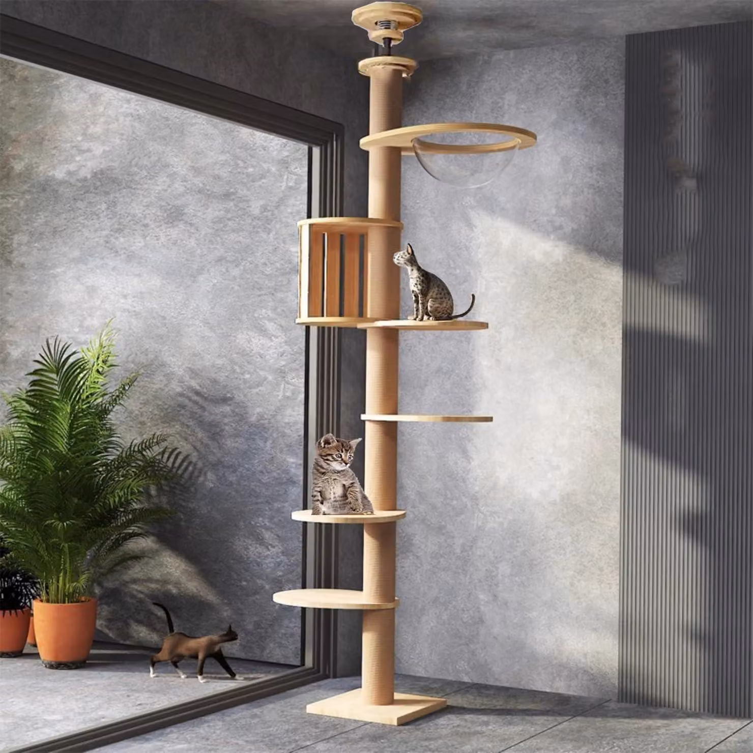 Albero per graffiare robusto da fissare al soffitto, con corda in sisal: intrattenimento fisico e mentale per i gatti