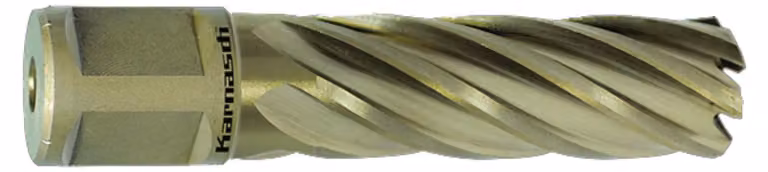Punta a HSS-XE, attacco Weldon, lunghezza utile 55 mm, Gold-Line55, d=56 mm