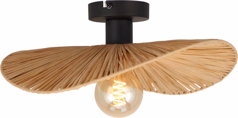Lámpara De Techo TOOLIGHT APP1827-1C Black0