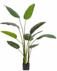 Pianta artificiale Strelitzia verde Bizzotto Altezza: 150 cm
