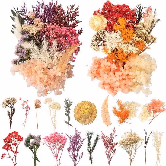 Set creativo Azomor con fiori secchi per decorazioni artistiche e progetti di bricolage