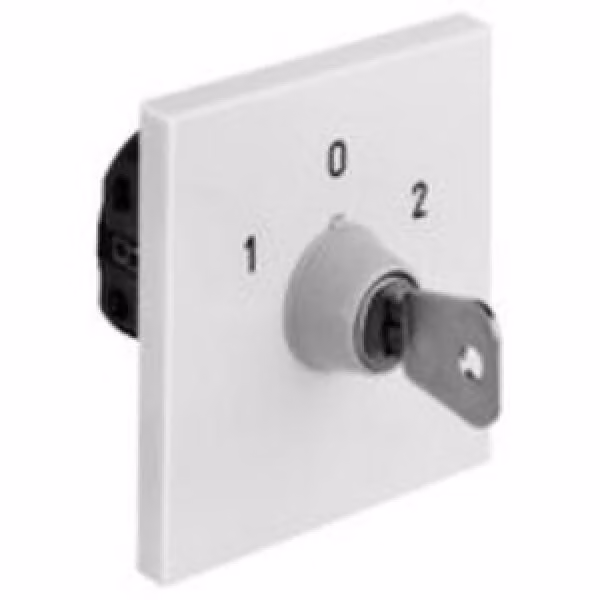 Kraus & Naimer INTERRUTTORE A CHIAVE 1 POLO UP (CA10.A290*A-V750.UE1)